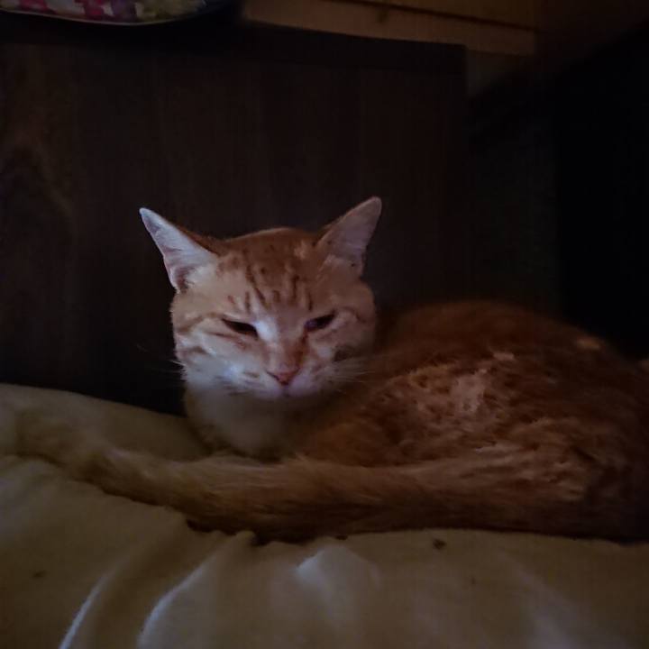 Ff716691 3676 4d84 9eaa dba704c6cb2c 1588733652076