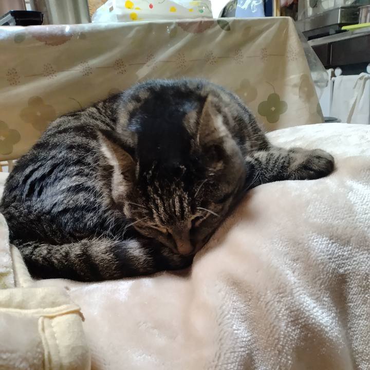 Ff716c64 25b5 40fc 92e3 ea7581e21dcd 1704922498464