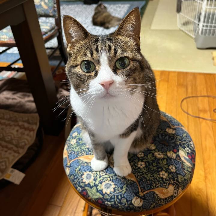 Ff71ada8 5fbc 4bb7 ba35 469974c0ee41 1718629852610