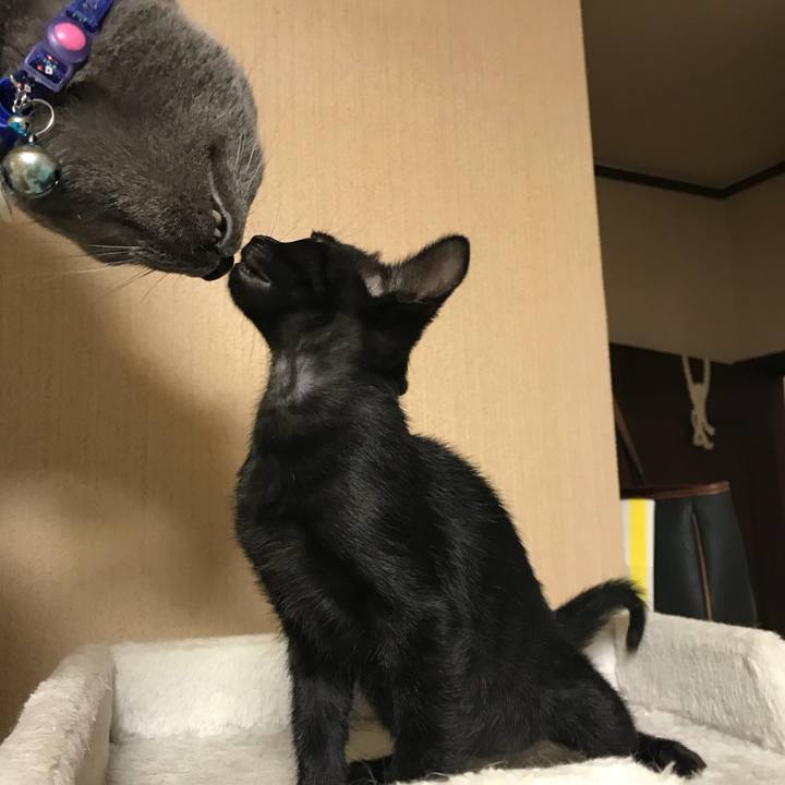 Ff7205b6 7bfc 46cb bd3d d2e244a52de1 1530802827493