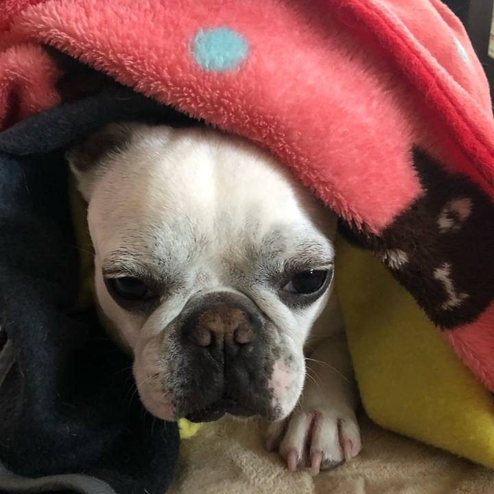 Ff721055 e898 4934 87da 446ea6e9d54a 1556605188044