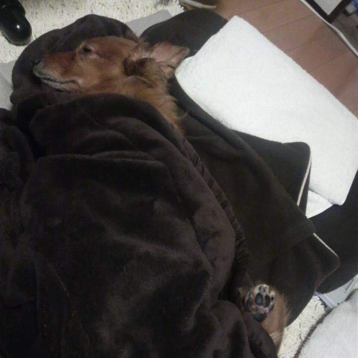 Ff721c0b 988d 41f5 9fb3 847988a341fb 1544288827997