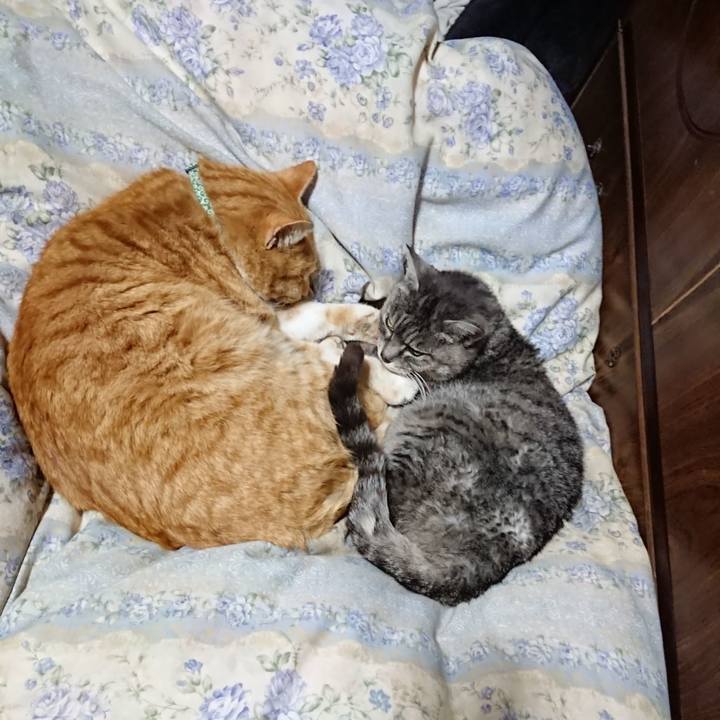 Ff722b3e ad14 4178 a552 ef32cb207ab8 1582203131231