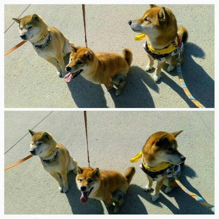 Ff7232cd 9ac3 42e8 97c5 b250b443ab95 1579414063715