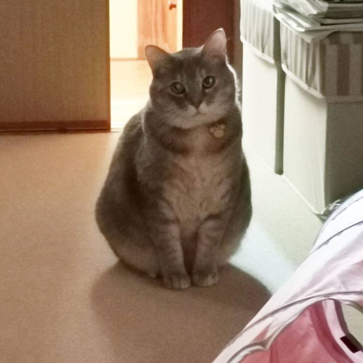 Ff723d8e 2eb2 47f7 a9db 84566aa46ff9 1605756613274