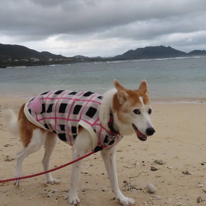 Ff7263c0 d9cd 412b 9719 b8d423703f48 1550414717207