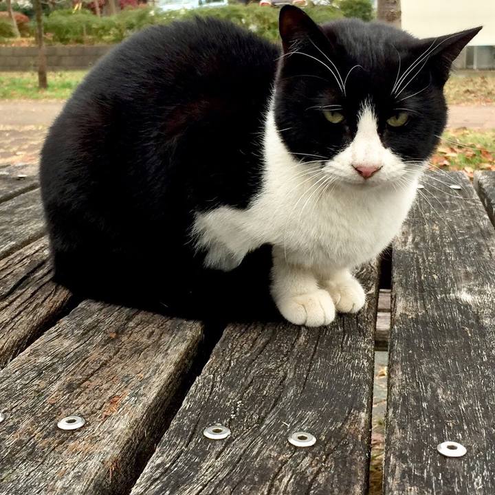 Ff726b8f d69f 482f b94f 314e3d4b6dae 1543741810186