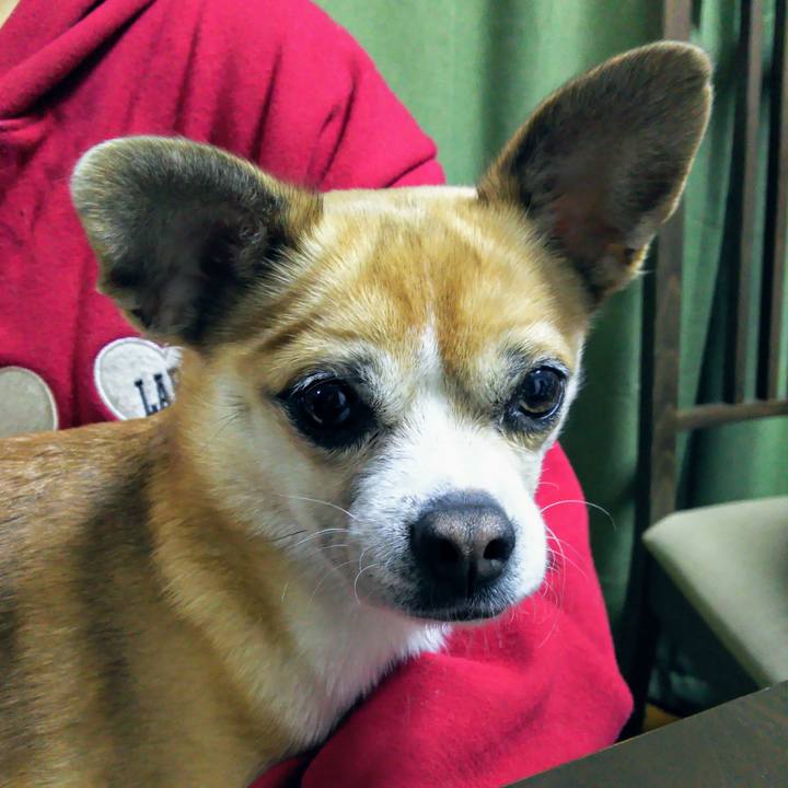 Ff728e97 2da2 438d bf74 be3601b92792 1613596347442