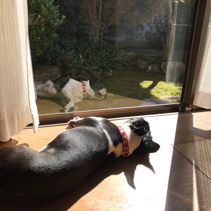 Ff7298ef 44b8 44ac b430 3a7cd96bc0c4 1513469087275