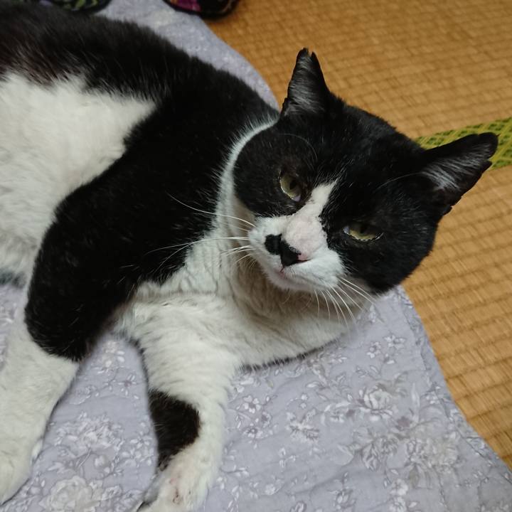 Ff72a021 7ce7 4777 85f6 5ed5ae6e4e60 1557125012609