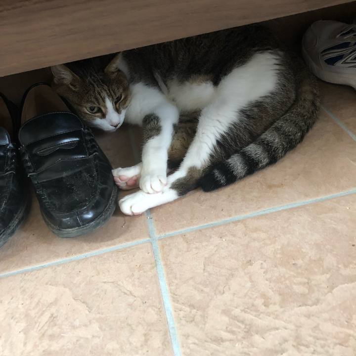 Ff72c1b9 f940 4411 b5bb ac48f68262ea 1533131299211