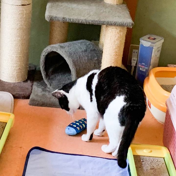 Ff72cea1 ca50 4430 9b71 e03f2e7c4413 1566782984993