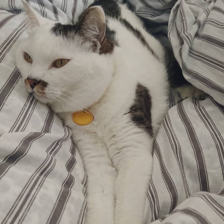 Ff72deb2 b76f 4bbd a241 292f362ad027 1521881823012