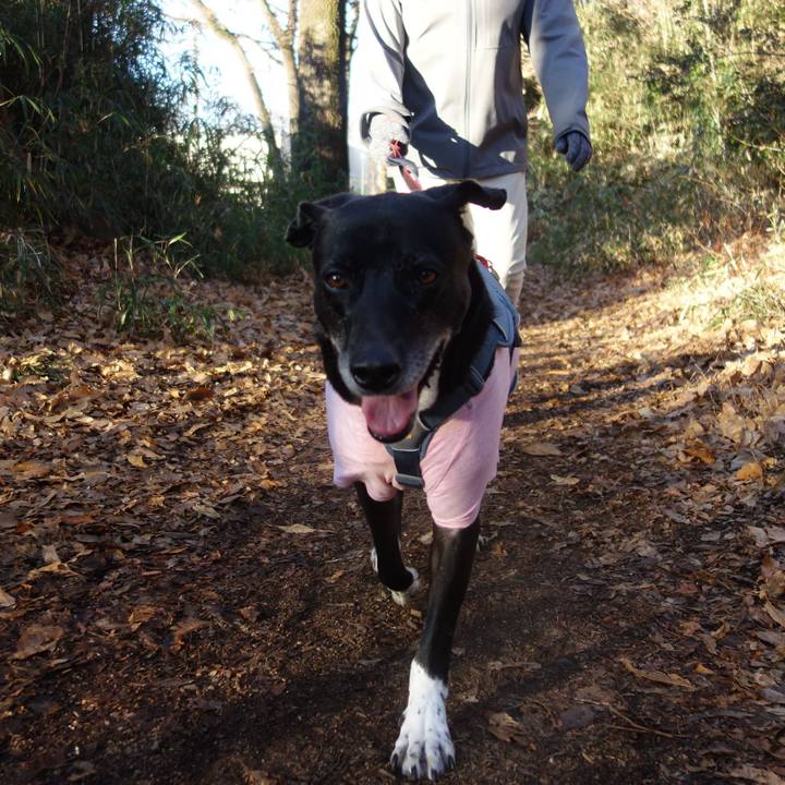 Ff72e714 60af 4ed7 9680 8dc4e824dd33 1704502901726