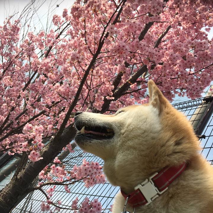 Ff72fd3c 279b 4abb ac48 70d0a0c3c4d2 1522698094589