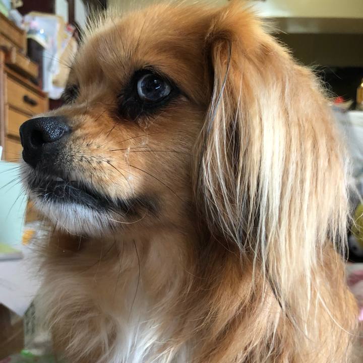 Ff730bf2 f721 4dec 864e 7a7e8d5491e9 1559453667685