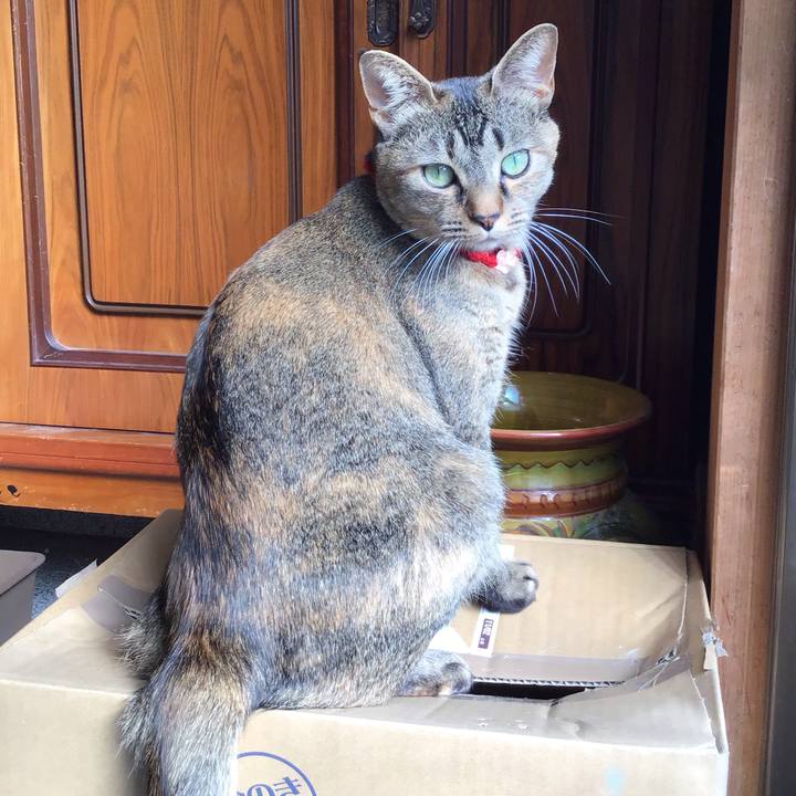 Ff7319cb a206 44cb 8cf9 1b3c46494b0d 1613279164306