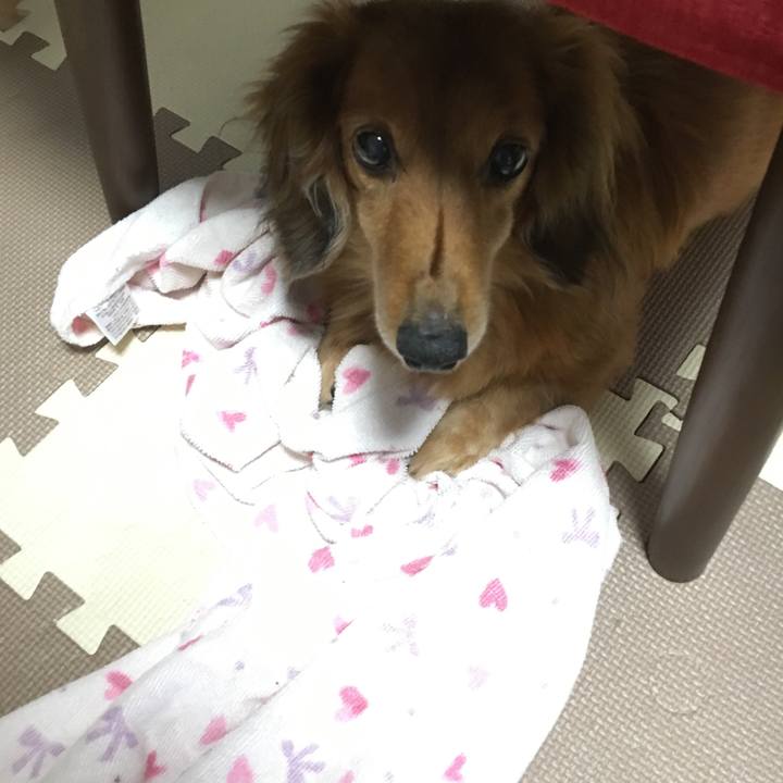 Ff731fd3 e343 48b1 be74 88d20dbf287d 1569237126118