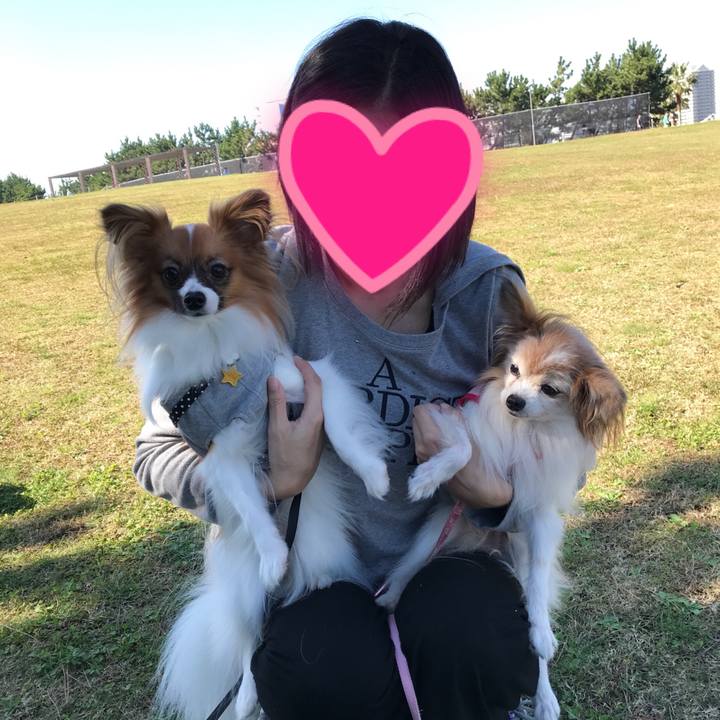 Ff73af1d b402 45f9 8b29 bad7e152bb84 1509708039982