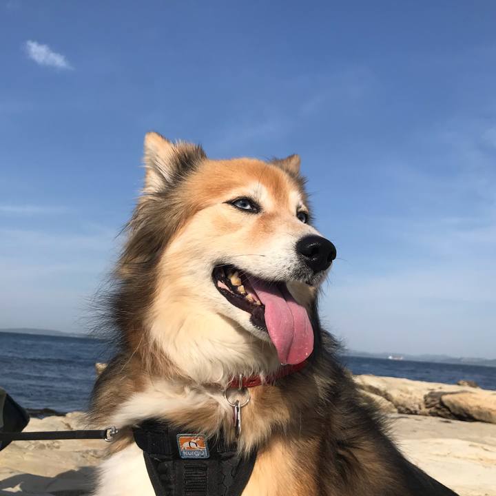 Ff73fc17 3d8a 4c11 ab71 02166b559e12 1589443740229