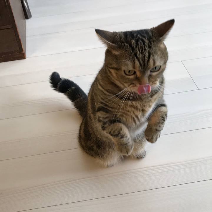 Ff744526 7cb5 4929 8b47 26c0bc8ccbbf 1536453635708