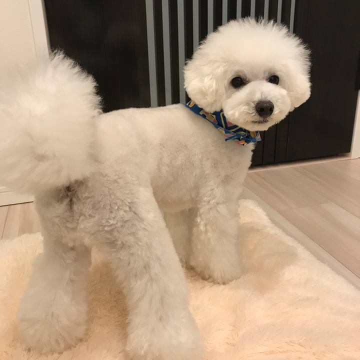 Ff7460f8 9e6d 4794 b1fd 8461c453ab7d 1521362959828