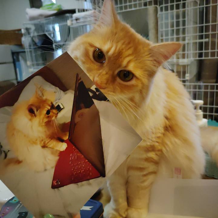 Ff746ca1 9798 4b6d 9c09 80b930bcbda1 1654939526993