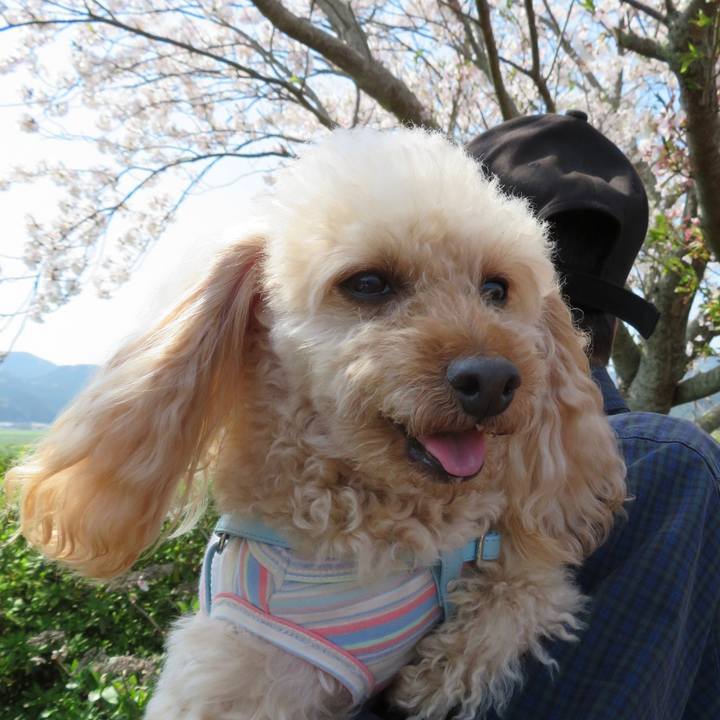 Ff74812f 56a6 4857 8122 2afff0341ae0 1680414661431