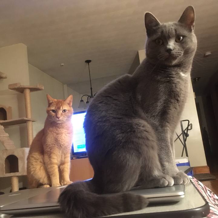 Ff751372 398a 42b3 8479 96f7d7ad1466 1633130911256