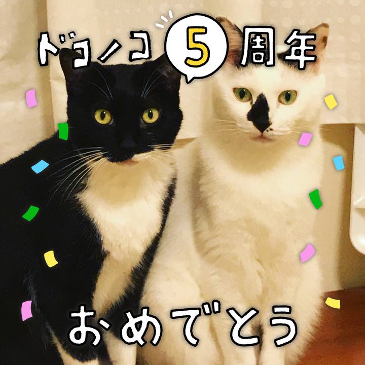 Ff754ba2 44bd 4280 bdb7 38215c32d1eb 1622985220946