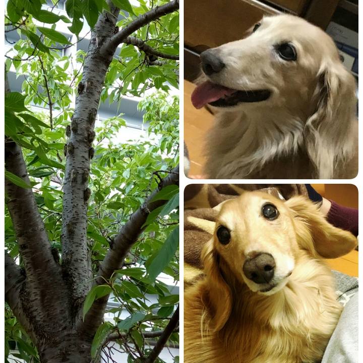 Ff759cb9 0902 49d2 a252 41fa2989c979 1564048510605