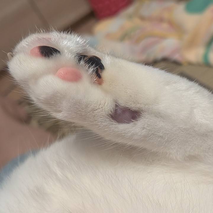 Ff75a5ff 2f2e 430a a309 0d280a726f72 1758118644428