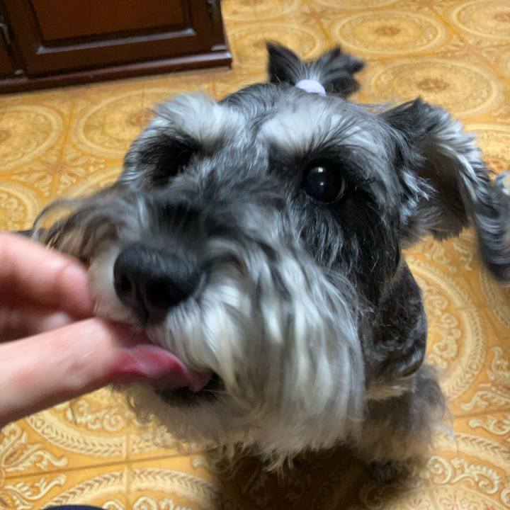 Ff75ac79 2bcd 432b 9758 ef336fdb5163 1725116432519