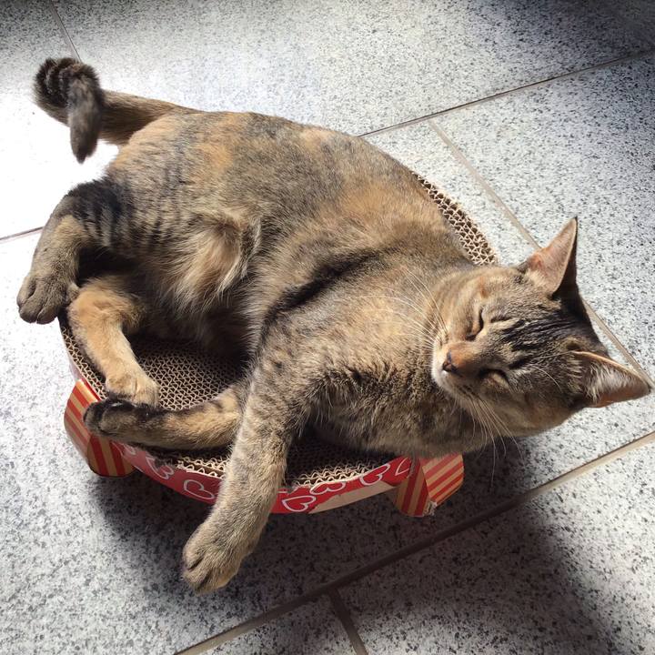 Ff75d82b dc4f 48f7 bc25 2d1d01ea57b7 1582255363858