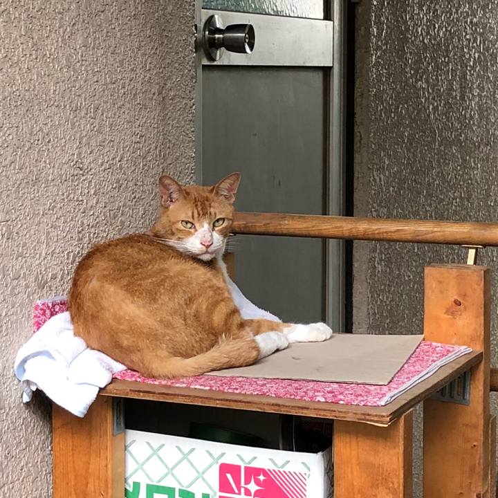 Ff75e7f8 7058 48d9 80ce 0e6dd22cce26 1534091764827