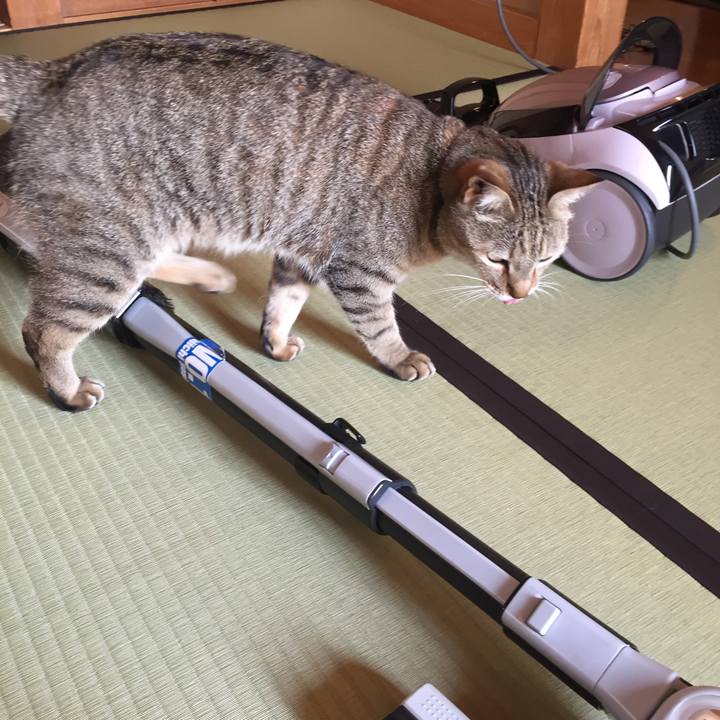 Ff75f1a3 ac3d 45f2 b329 213b5c1de793 1527202739763