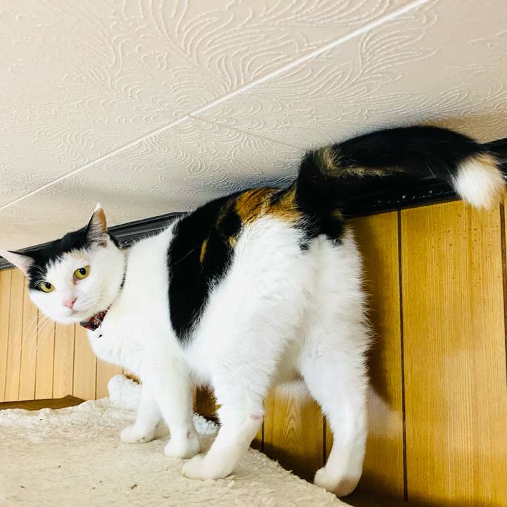 Ff761e5e 1237 438c 9efa 254d51b7497e 1681908153331