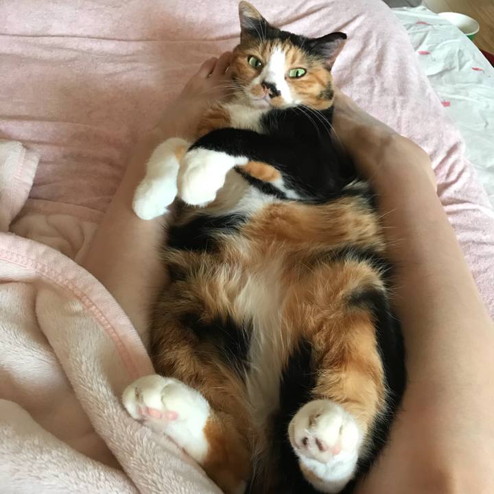 Ff764152 aeb1 43fb ba83 634fc9d5906a 1537754923917