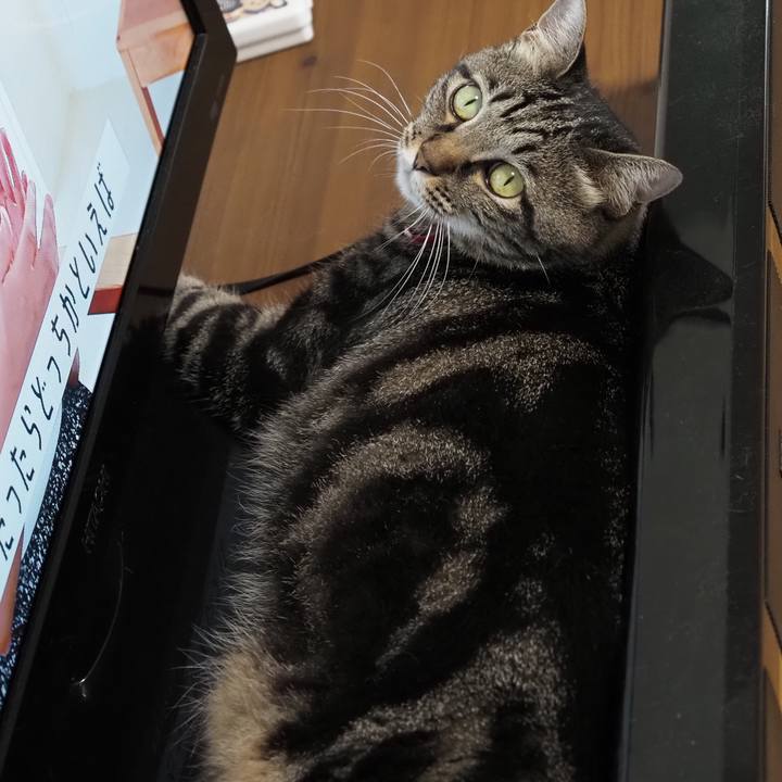 Ff765ac7 ee79 4ee8 ad6c 109817c8d273 1596858820661