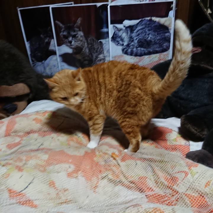 Ff766da0 4186 4287 8bb2 753c54859af2 1608636048938