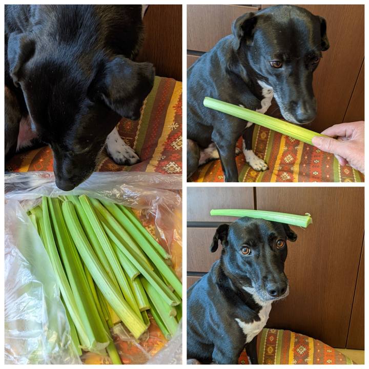 Ff767c5e dad8 43a8 b779 53dd0e648612 1652926564406