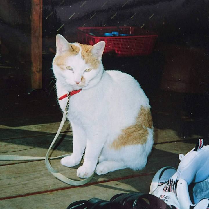 Ff7692f5 06c8 40d1 b84a e8dcf0df88d6 1722346049274