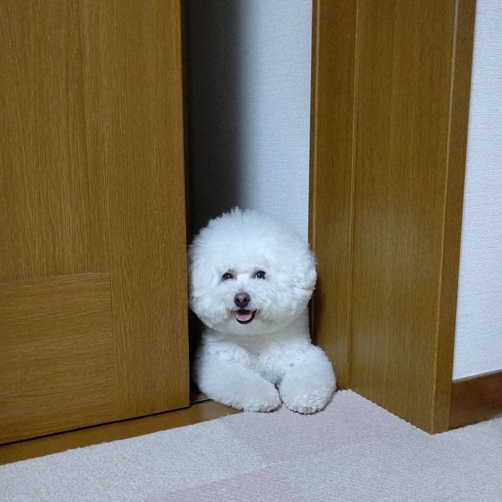 Ff76aef0 8bd6 485c a4da de8731f7a419 1654858836926