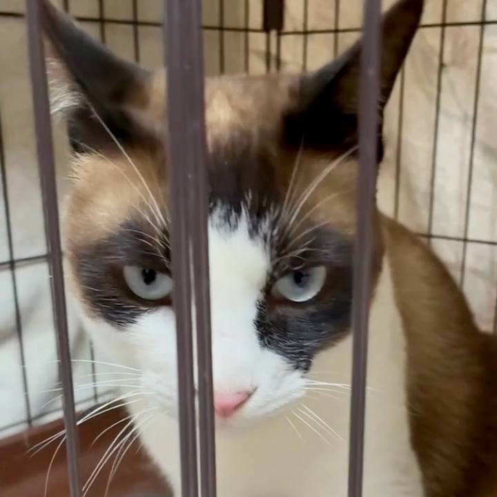 Ff76cde8 1fe5 40d4 ab7f d3b1d3e69507 1748778715007