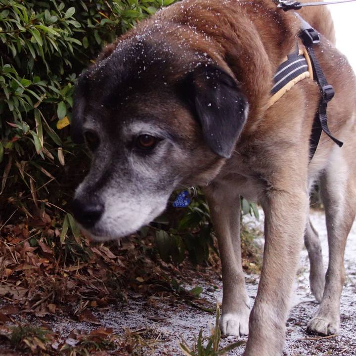 Ff76f83a 7fa6 4209 b891 f53392d3a3a3 1658102524148