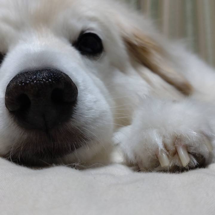 Ff77149f 8101 4149 bd59 4953d126a149 1654555826122