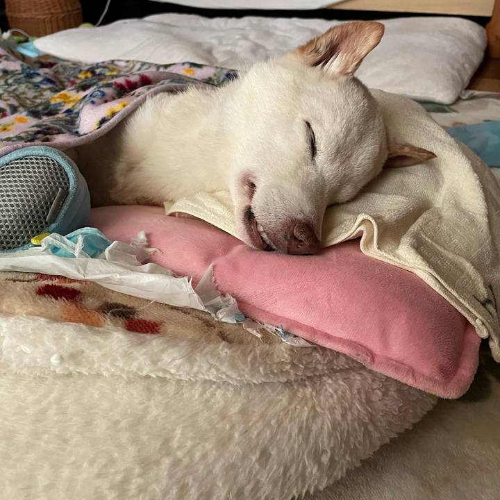 Ff77323f 0943 4dde 8e3c dc04178a00db 1671330866702