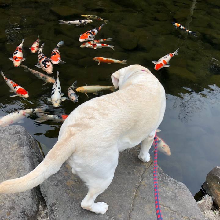 Ff7738e1 7998 4c87 b9f0 c26204a757c1 1614951070219