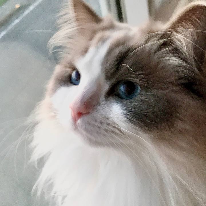 Ff775870 d274 45f2 b9d7 c46bfc93bda9 1618221738547