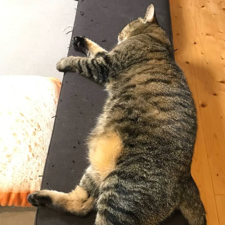 Ff775daa 6ca3 4551 8054 f4a657d8c678 1632785870726